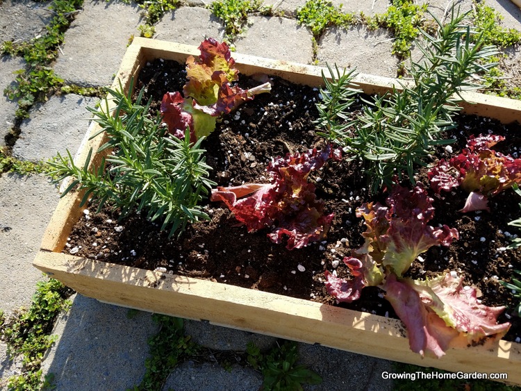 1-Portable Planter Box Project - Cedar Box (1)
