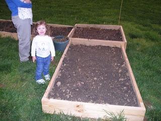 raised bed