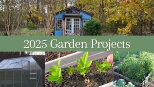 2025 Garden Projects