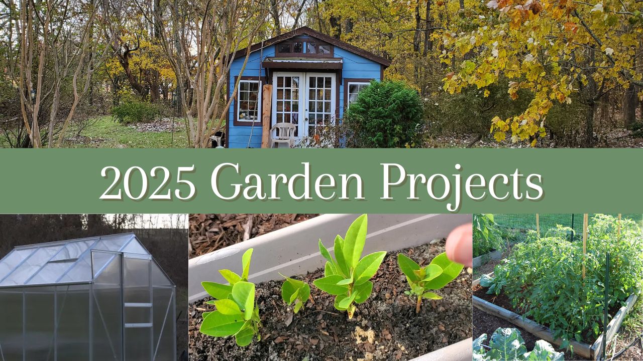 2025 Garden Projects
