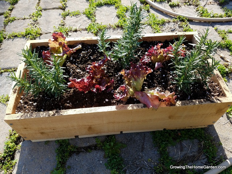 6-Portable Planter Box Project - Cedar Box (6)