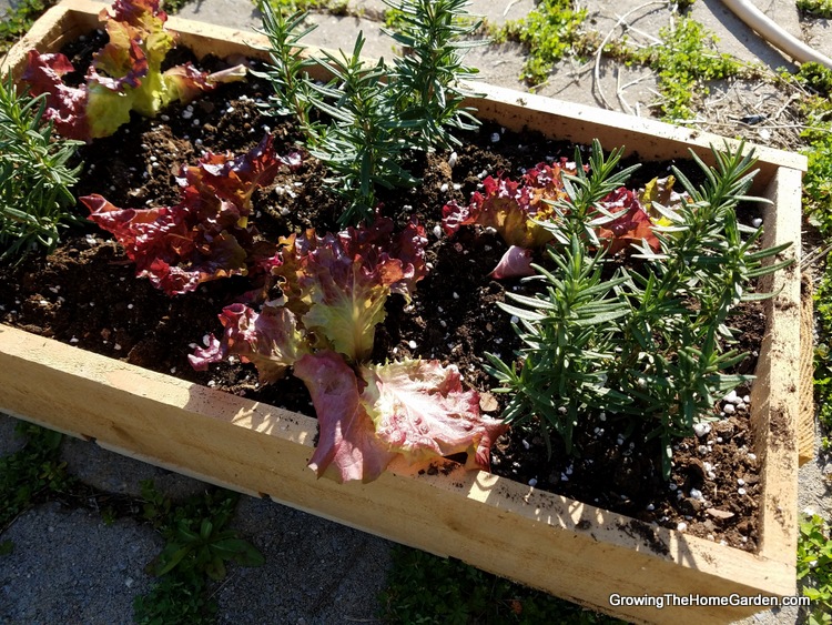 Portable Planter Box