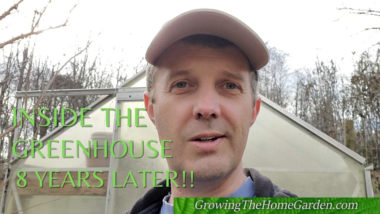 Backyard Garden Greenhouse