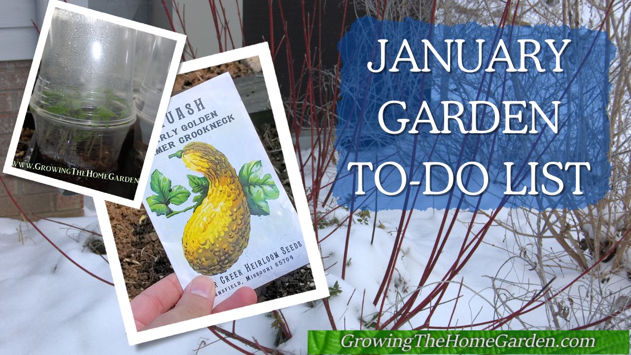 January Garden To Do List