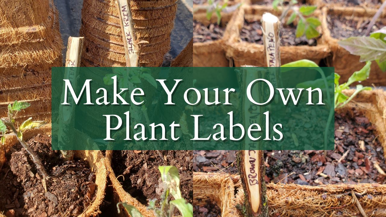 An easy way to make your own plant labels