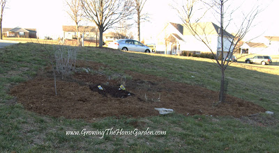 mulch