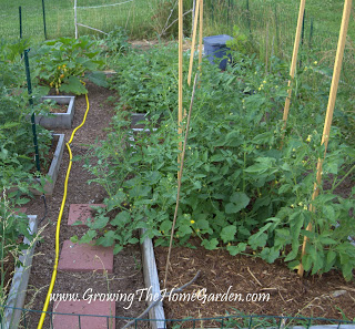 benefits of gardening in raised beds