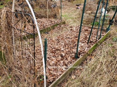 raised beds covered in leaves as winter mulch