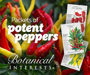 chile pepper, peppers, potent peppers, packets, seeds, botanical interests, seed, botanical, ghost pepper, jalapeno