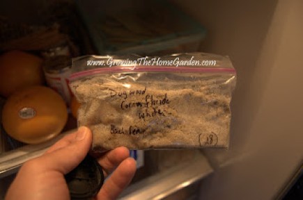 cold stratification of dogwood seeds