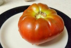 Tasmanian Chocolate Tomato