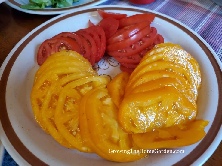 Woodle Orange tomato