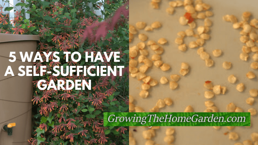 5 Ways to have a self sufficient garden